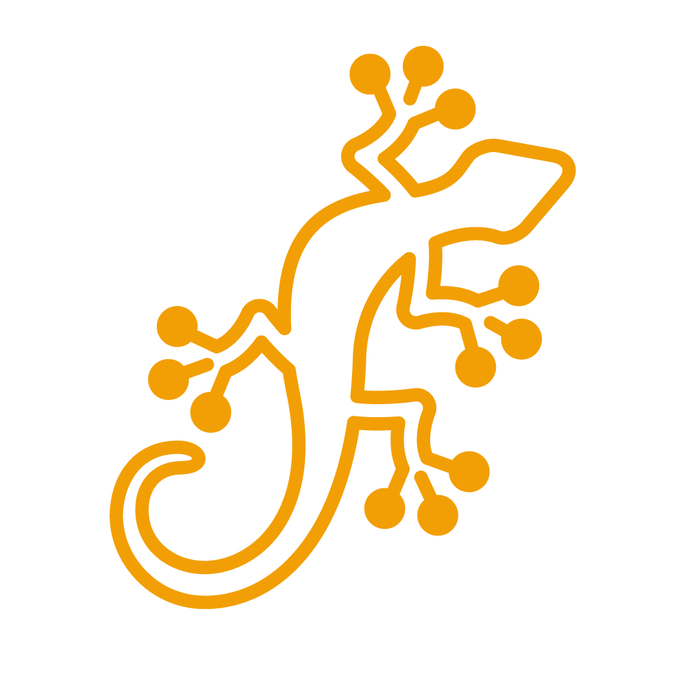wireframe icon of a gecko